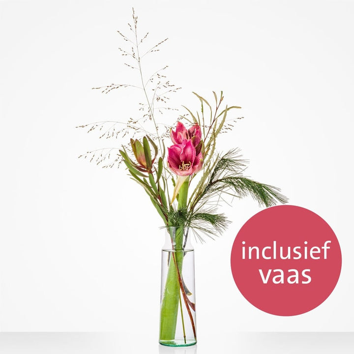 Vaasverrassing amaryllis