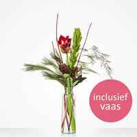 Vaasverrassing amaryllis